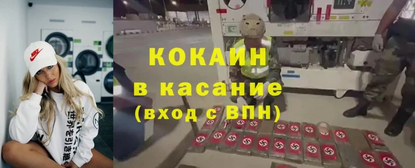 гидра Арсеньев