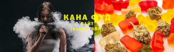 индика Сосновоборск