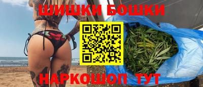 индика Баксан