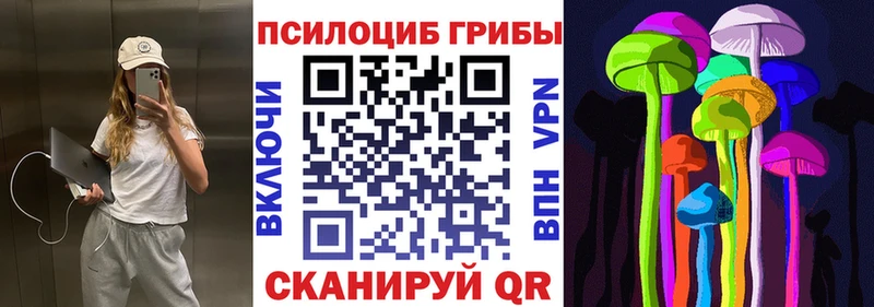 купить наркотики цена  Чапаевск  Псилоцибиновые грибы мицелий 