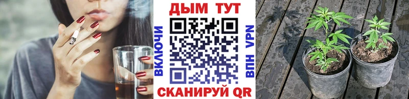Бошки марихуана Ganja продажа наркотиков Чапаевск